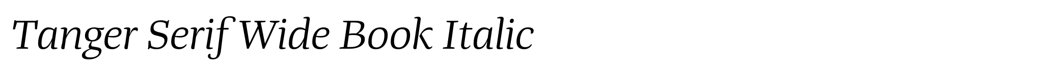Tanger Serif Wide Book Italic image